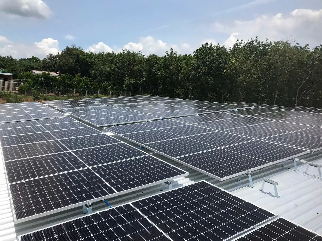 Điện năng lượng mặt trời gold 64 z6035759968548 ff3b41c9465475cbcee63d39a25e2783